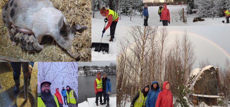 Midgardr Farm Experience — Living Systems Immersive Course, Winter 2025 (Angnis + Timur)